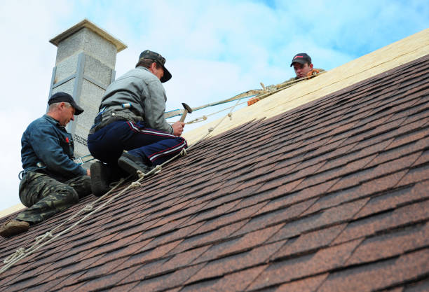 Best Storm Damage Roof Repair  in Austin, MN